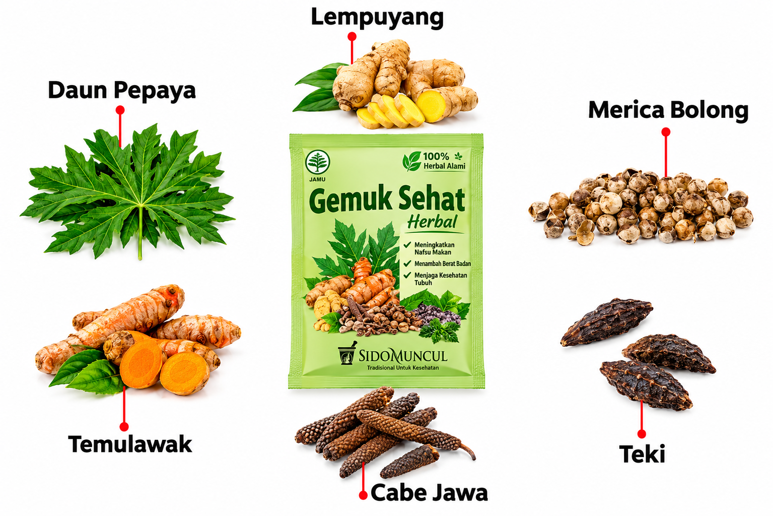 Jamu Sido Muncul Gemuk Sehat (10 Sachet / Pack) - Vitamin Gemuk Badan / Ubat Tambah Selera Makan Original Indonesia